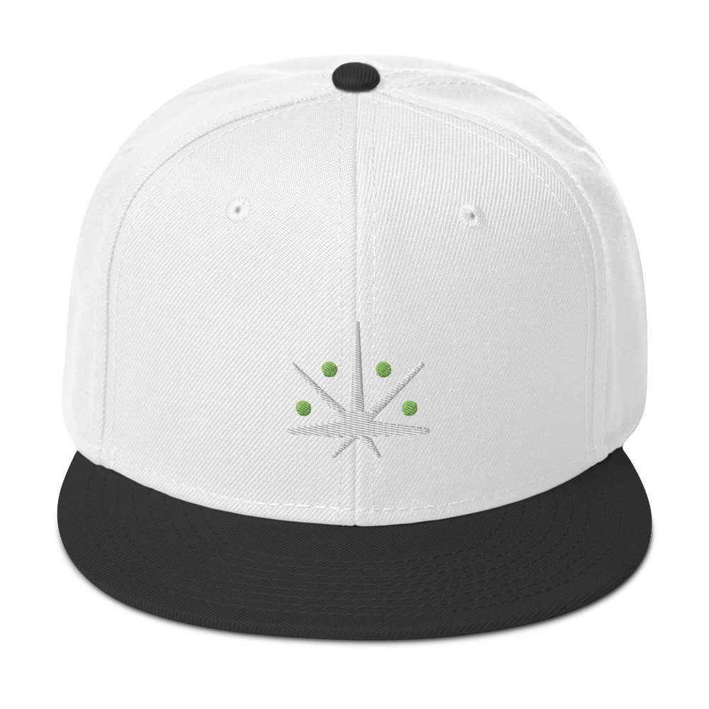 VedaLeaf Snapback