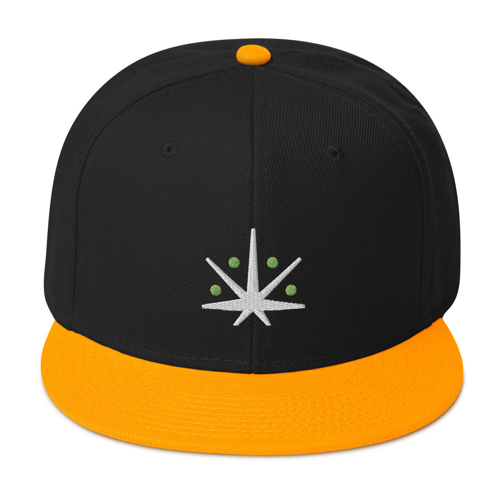 VedaLeaf Snapback