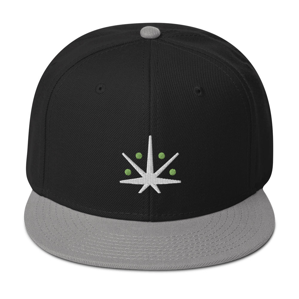 VedaLeaf Snapback