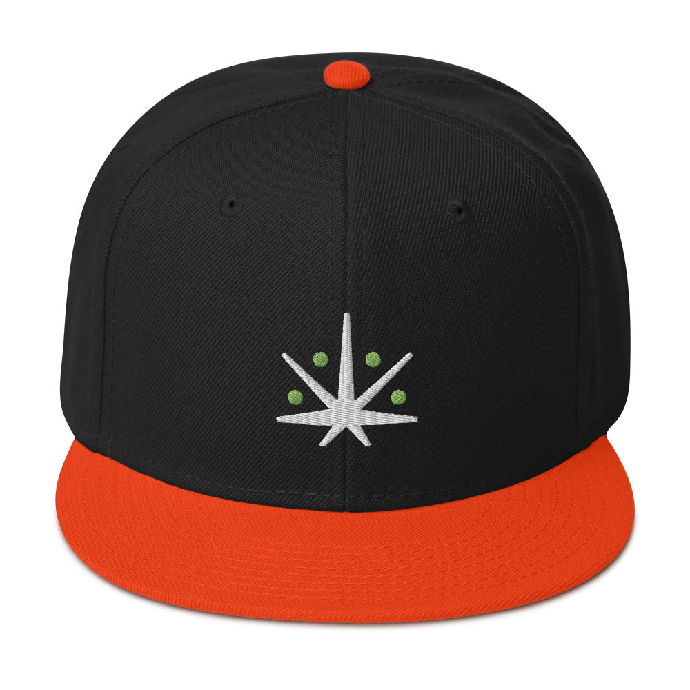 VedaLeaf Snapback