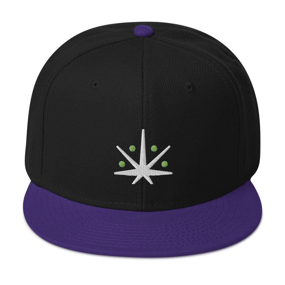 VedaLeaf Snapback