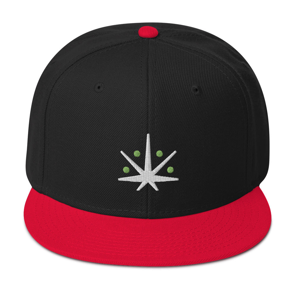 VedaLeaf Snapback