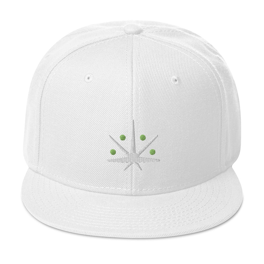 VedaLeaf Snapback